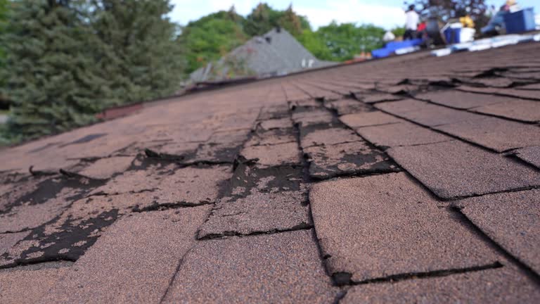 Best Asphalt Shingles Roofing  in Hanover, IN